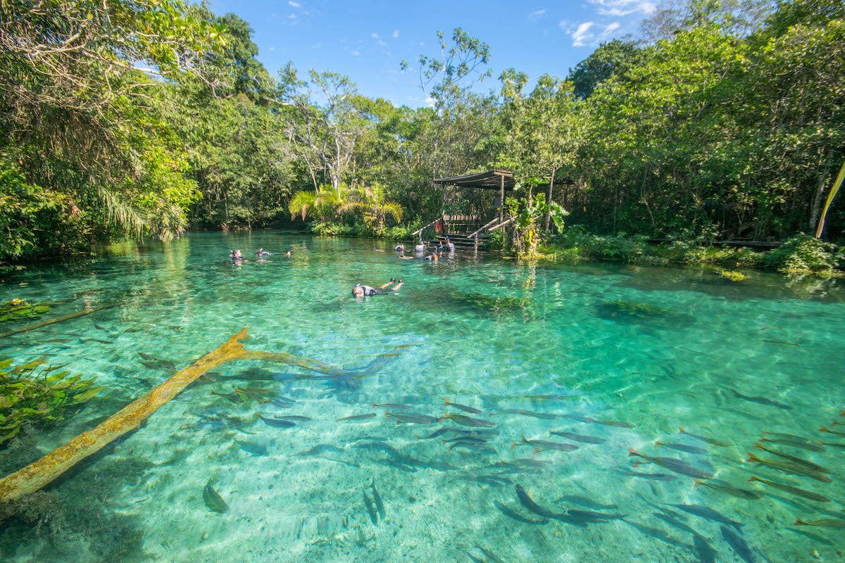 Bonito MS: O Paraíso do Ecoturismo no Brasil
